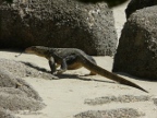 WaterMonitor.JPG (219 KB)